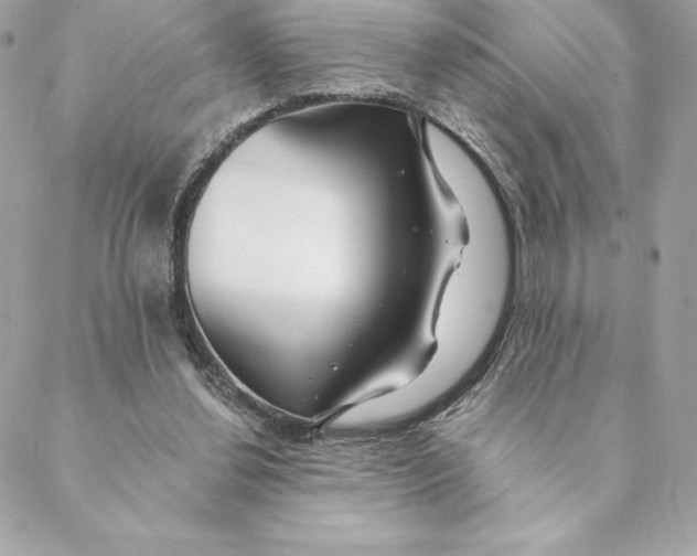 X0000088570252200706151653