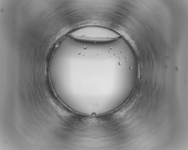 X0000088570253200706151653