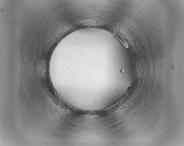 X0000088570255200706151653