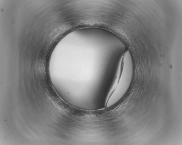 X0000088570256200706151654