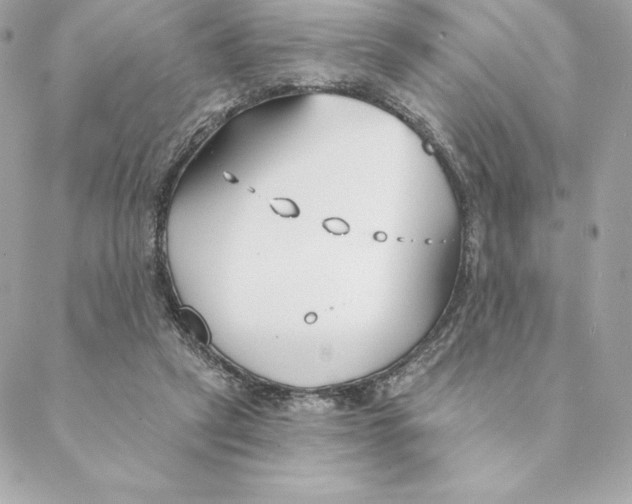 X0000088570257200706151654