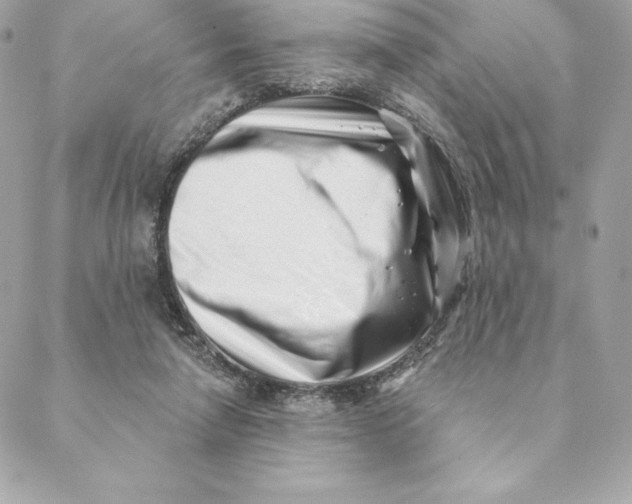 X0000088570258200706151654