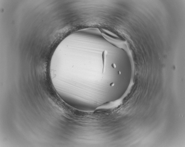 X0000088570260200706151654