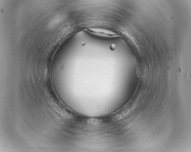 X0000088570261200706151654