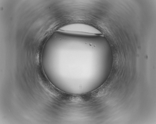 X0000088570262200706151654