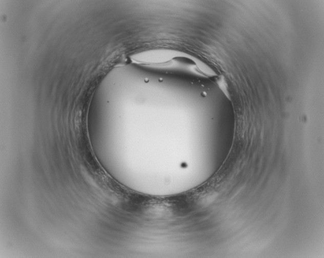 X0000088570263200706151654