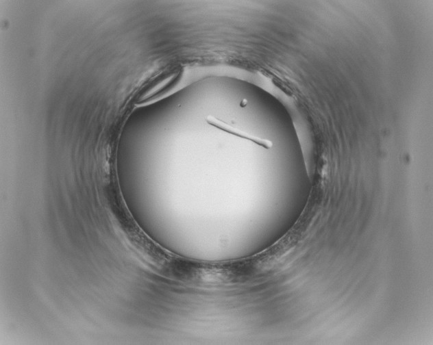 X0000088570264200706151654