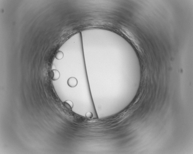 X0000088570265200706151654