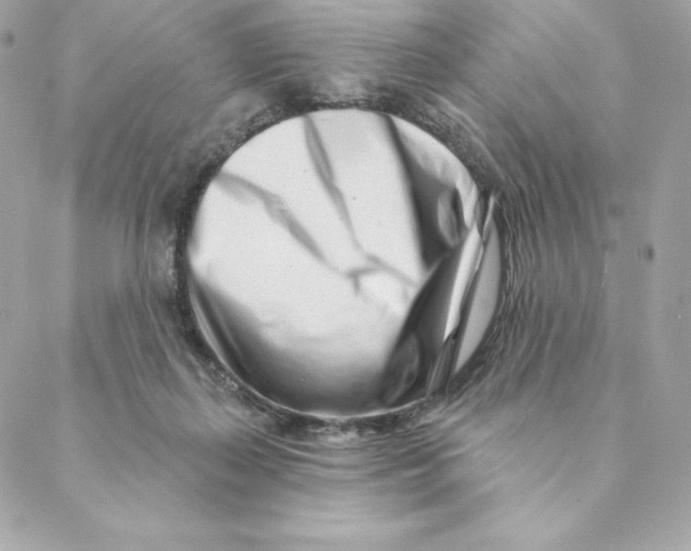 X0000088570267200706151654