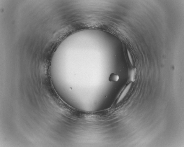 X0000088570268200706151654