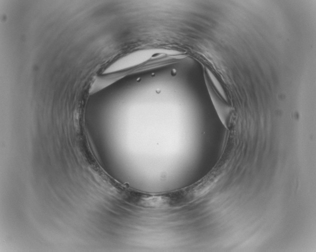 X0000088570269200706151654