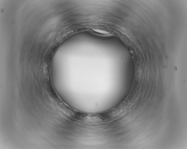 X0000088570270200706151654