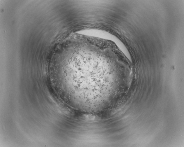 X0000088570272200706151654