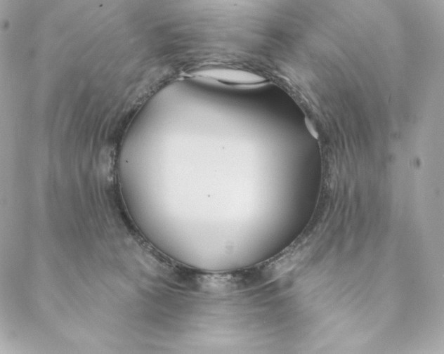 X0000088570273200706151654