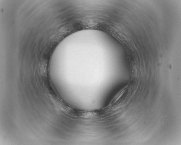 X0000088570274200706151654