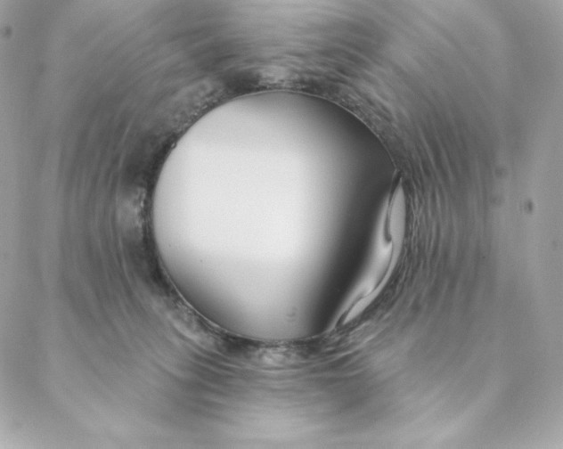 X0000088570275200706151654