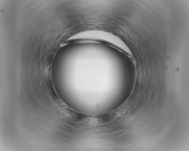 X0000088570276200706151654