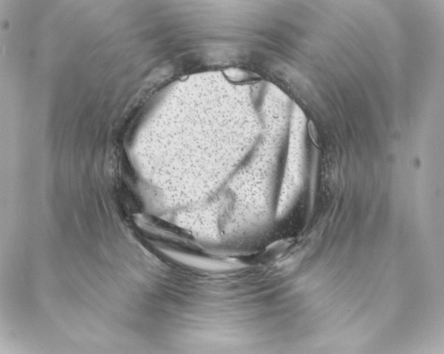 X0000088570277200706151654