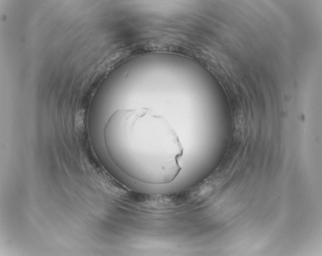 X0000088570278200706151654