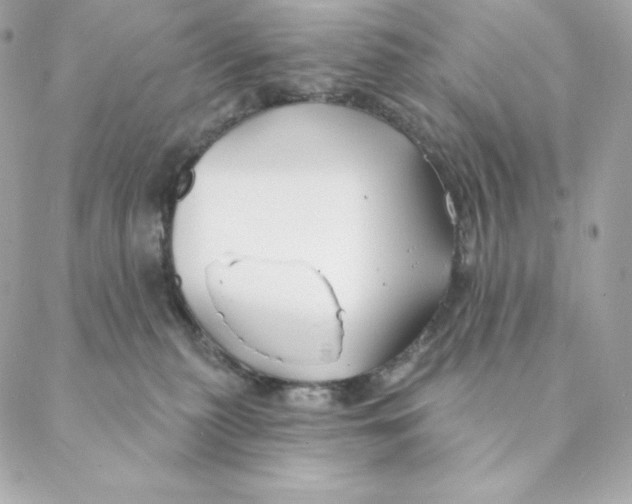 X0000088570279200706151654