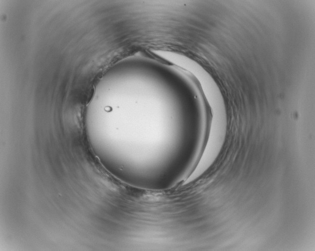 X0000088570280200706151654