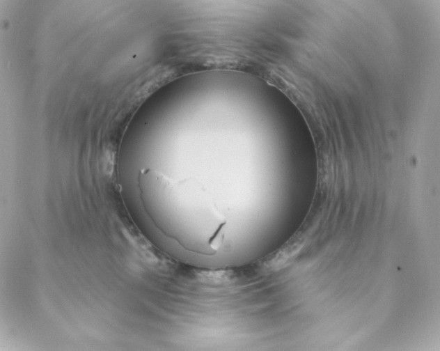 X0000088570281200706151654