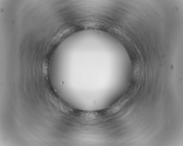 X0000088570282200706151654