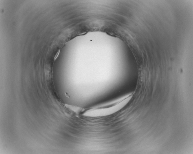 X0000088570283200706151654