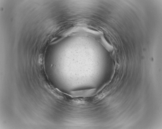 X0000088570284200706151654