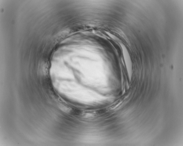 X0000088570285200706151654