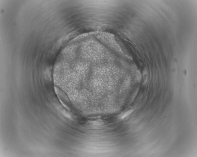 X0000088570286200706151654