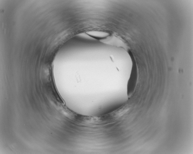 X0000088570288200706151654