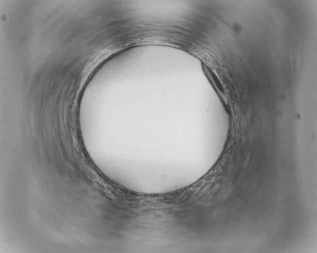 X0000088570289200706151653