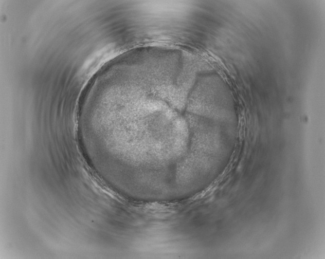 X0000088570290200706151653