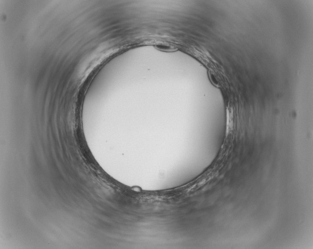 X0000088570291200706151653