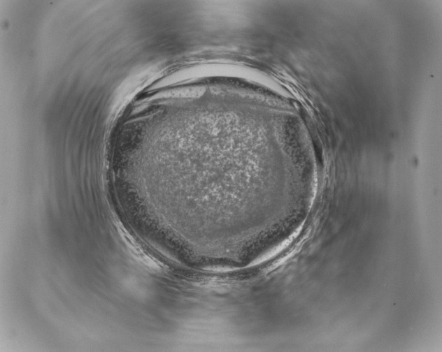 X0000088570293200706151653