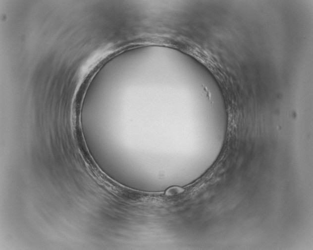 X0000088570294200706151653