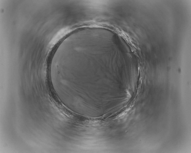 X0000088570295200706151653