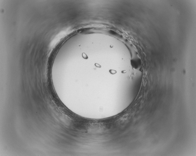 X0000088570296200706151653