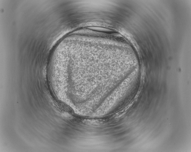 X0000088570297200706151653