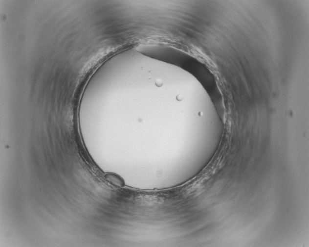 X0000088570298200706151653