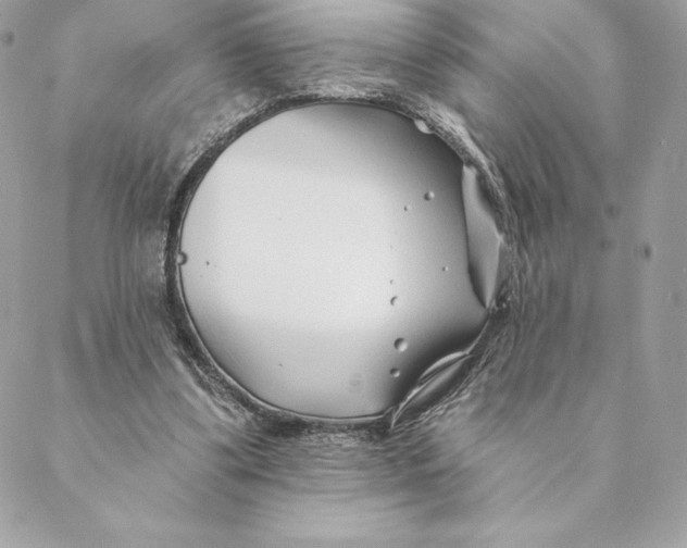 X0000088570299200706151653