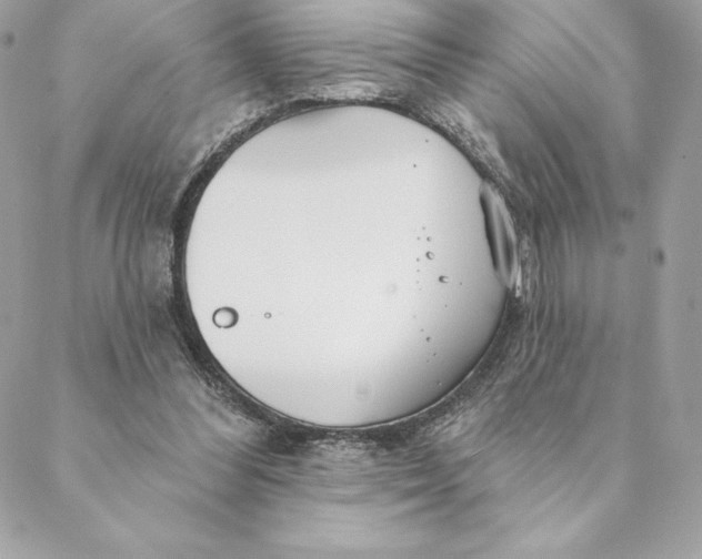 X0000088570300200706151653