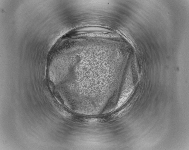 X0000088570301200706151653