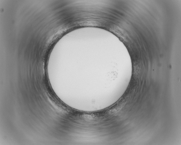 X0000088570302200706151653