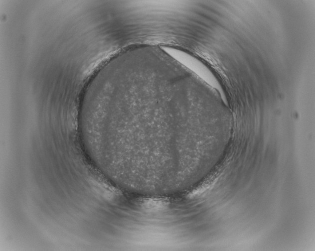 X0000088570303200706151653