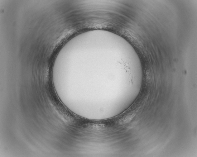 X0000088570304200706151653