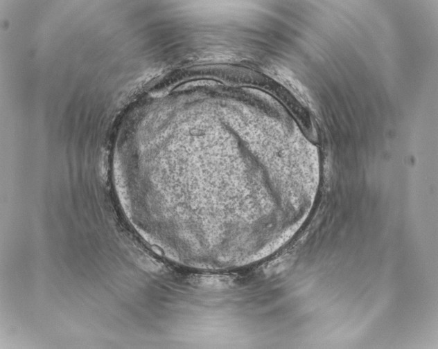 X0000088570305200706151653