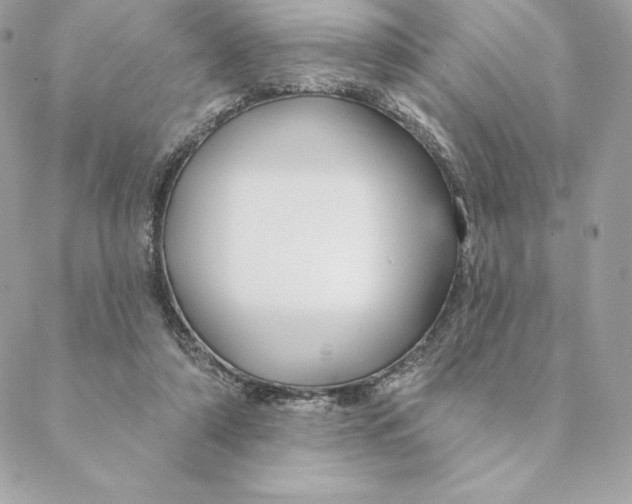 X0000088570306200706151653