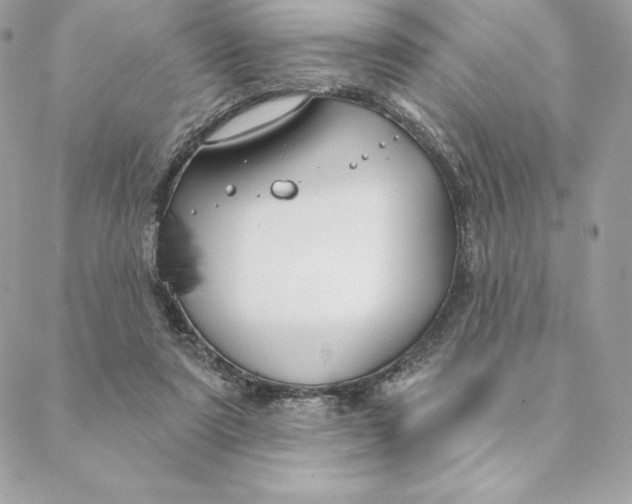 X0000088570307200706151653